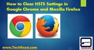 How to Clear HSTS Setting in Google Chrome_02