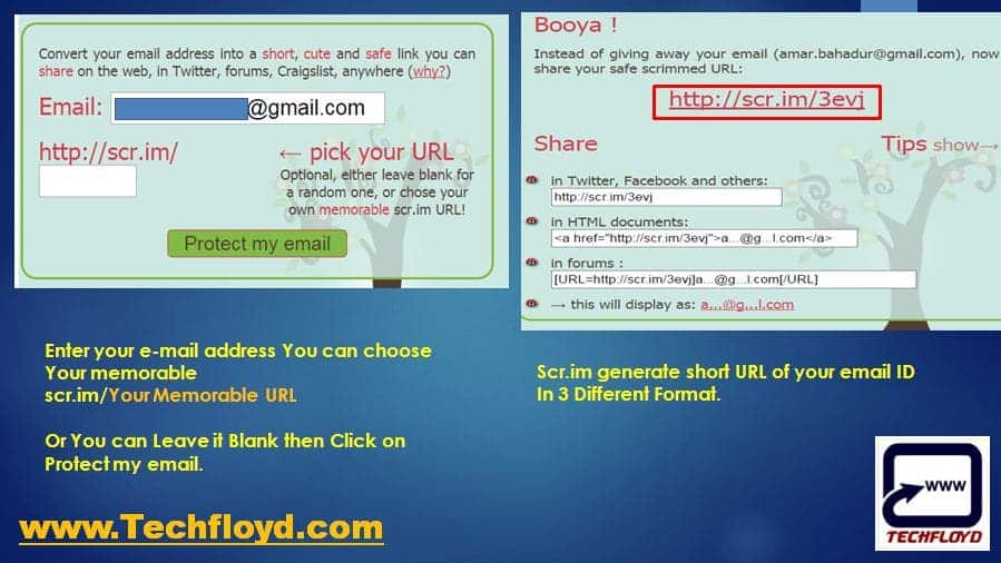 share-email-address-online