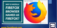 Why is Mozilla Firefox browser named as Firefox.