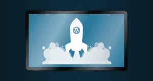 managed wordpress support services