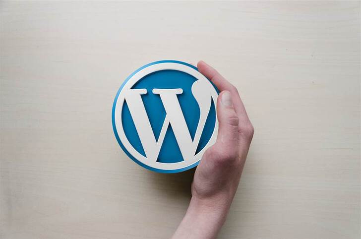 top 10 wordpress support services
