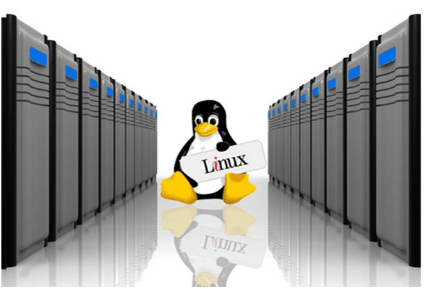 Følge efter Hovedløse Parat What Can You Do With Linux VPS Hosting